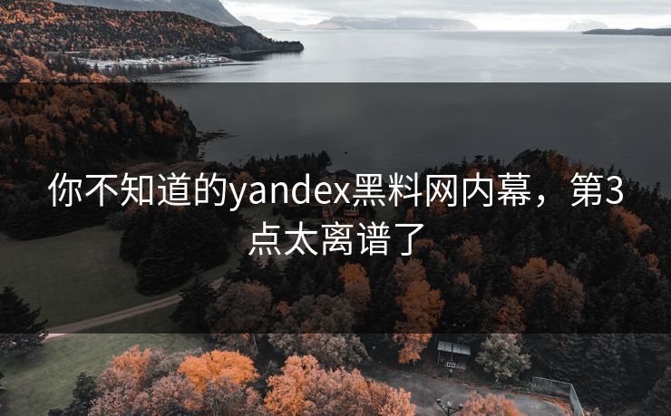 你不知道的yandex黑料网内幕，第3点太离谱了