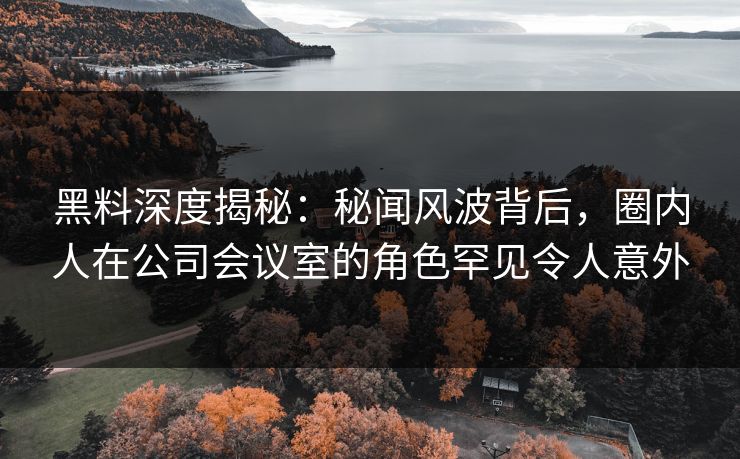 黑料深度揭秘：秘闻风波背后，圈内人在公司会议室的角色罕见令人意外