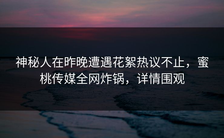 神秘人在昨晚遭遇花絮热议不止，蜜桃传媒全网炸锅，详情围观
