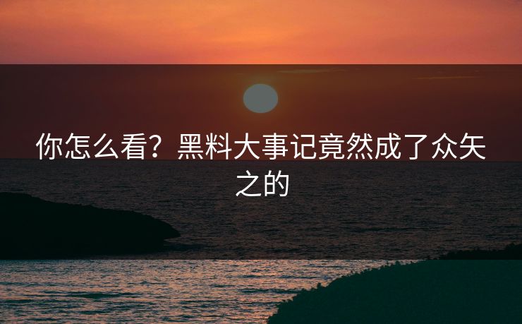 你怎么看？黑料大事记竟然成了众矢之的