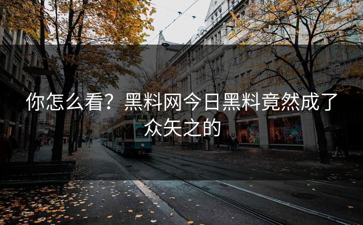 你怎么看？黑料网今日黑料竟然成了众矢之的