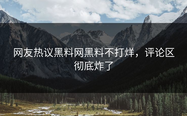 网友热议黑料网黑料不打烊，评论区彻底炸了