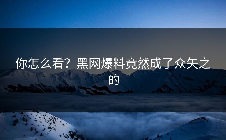 你怎么看？黑网爆料竟然成了众矢之的
