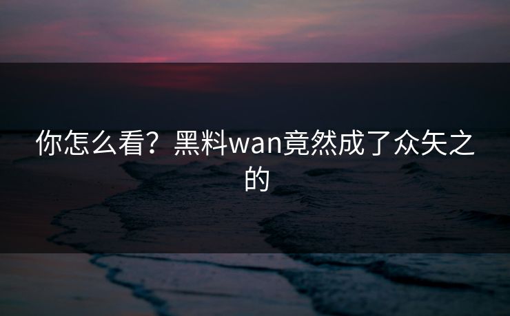 你怎么看？黑料wan竟然成了众矢之的