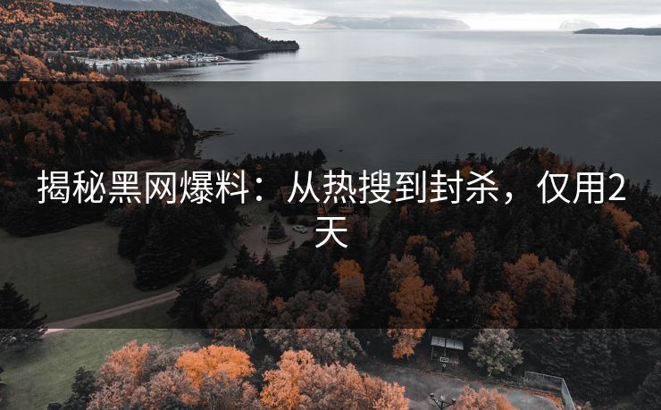 揭秘黑网爆料：从热搜到封杀，仅用2天