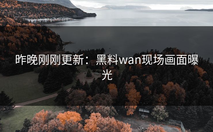 昨晚刚刚更新：黑料wan现场画面曝光