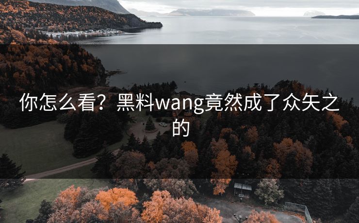你怎么看？黑料wang竟然成了众矢之的