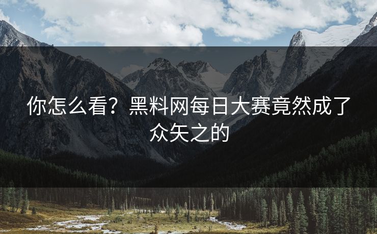你怎么看？黑料网每日大赛竟然成了众矢之的