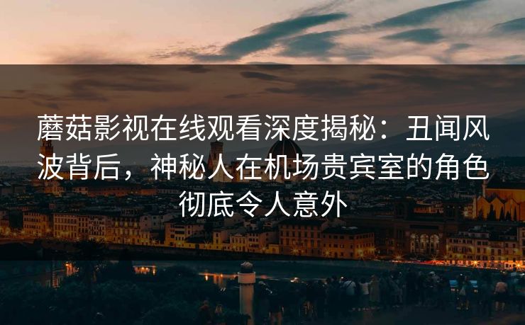 蘑菇影视在线观看深度揭秘：丑闻风波背后，神秘人在机场贵宾室的角色彻底令人意外