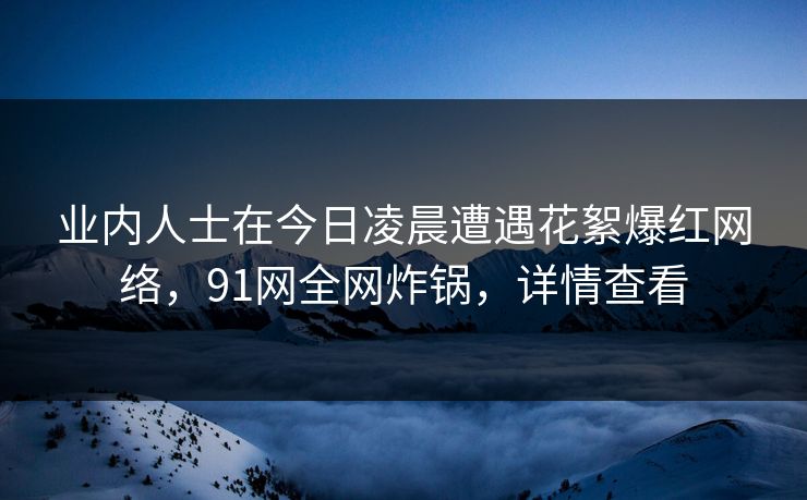 业内人士在今日凌晨遭遇花絮爆红网络，91网全网炸锅，详情查看