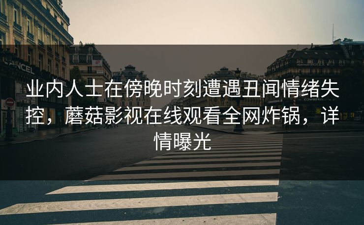 业内人士在傍晚时刻遭遇丑闻情绪失控，蘑菇影视在线观看全网炸锅，详情曝光
